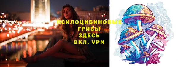 молекула духа Верея